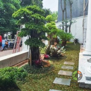 Jasa Pembuatan Taman Termurah Dan Terpercaya