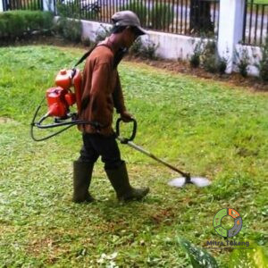Jasa Potong Rumput Termurah Dan Rapih